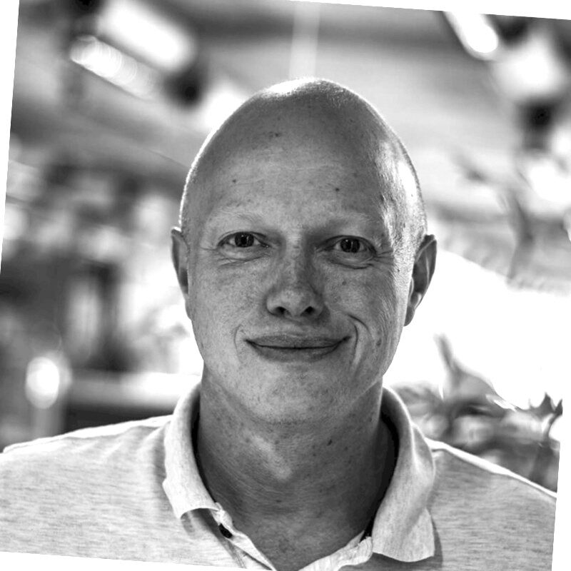 Portrait of Martin Koersen smiling, wearing a light polo shirt, in a softly blurred indoor setting.
